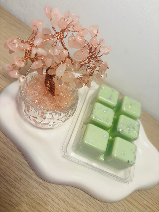 Wax melt Melón 🍈