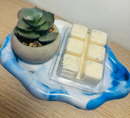 Wax Melt Ropa Limpia