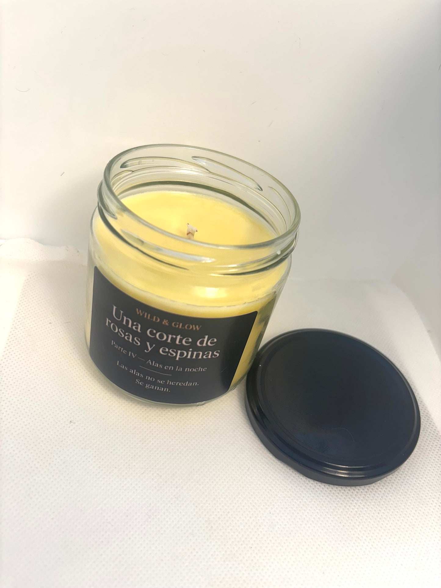 🕯️ Vela Parte IV · Alas en la noche