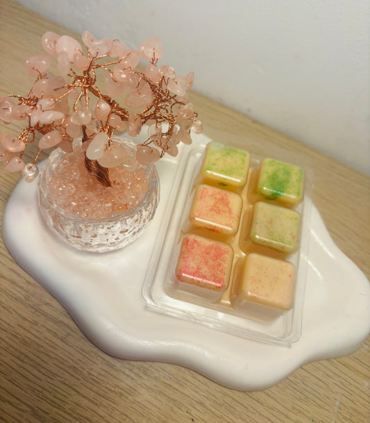 Wax melt palomitas 🍿