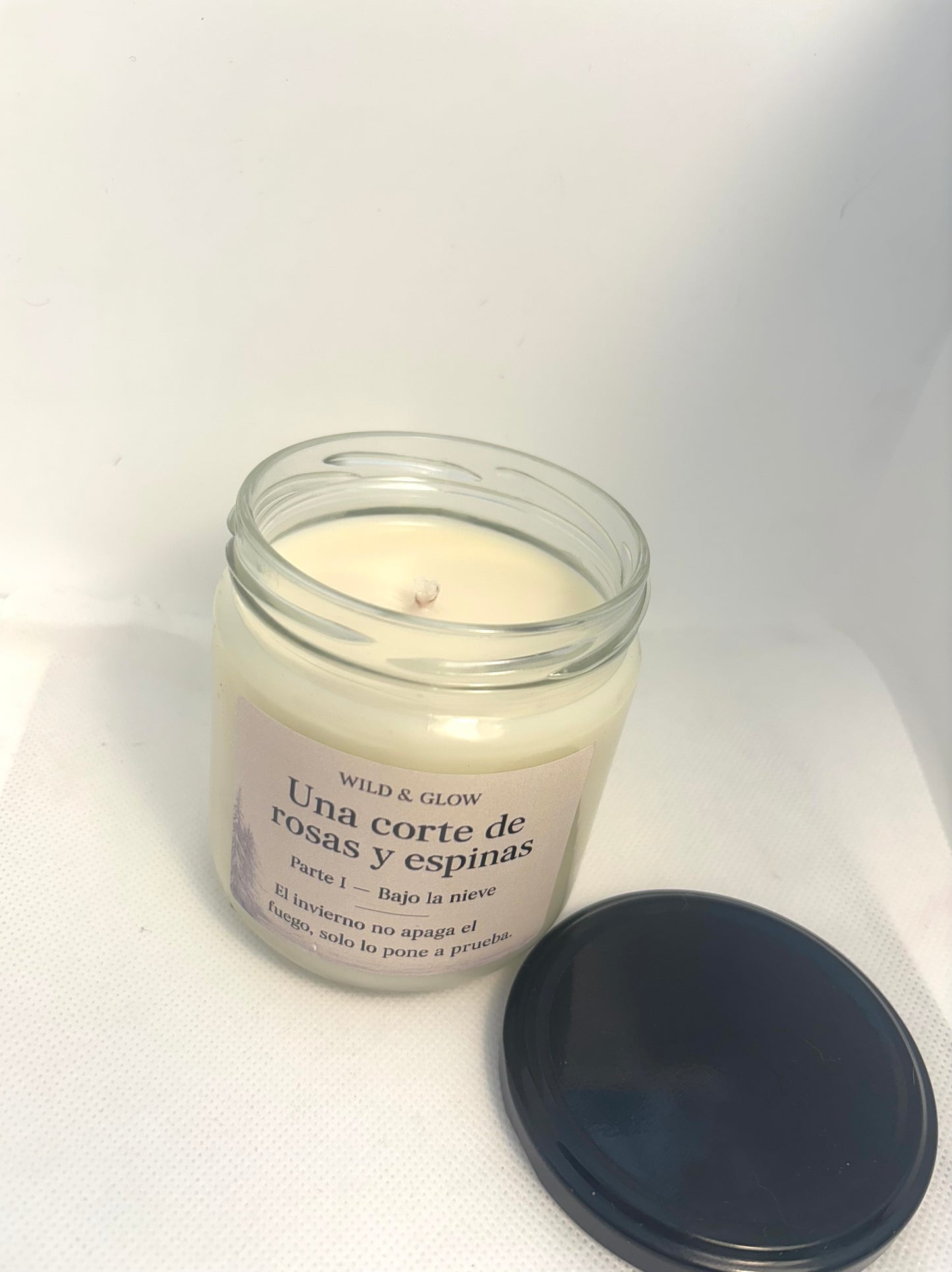🕯️ Vela Parte I · Bajo la nieve