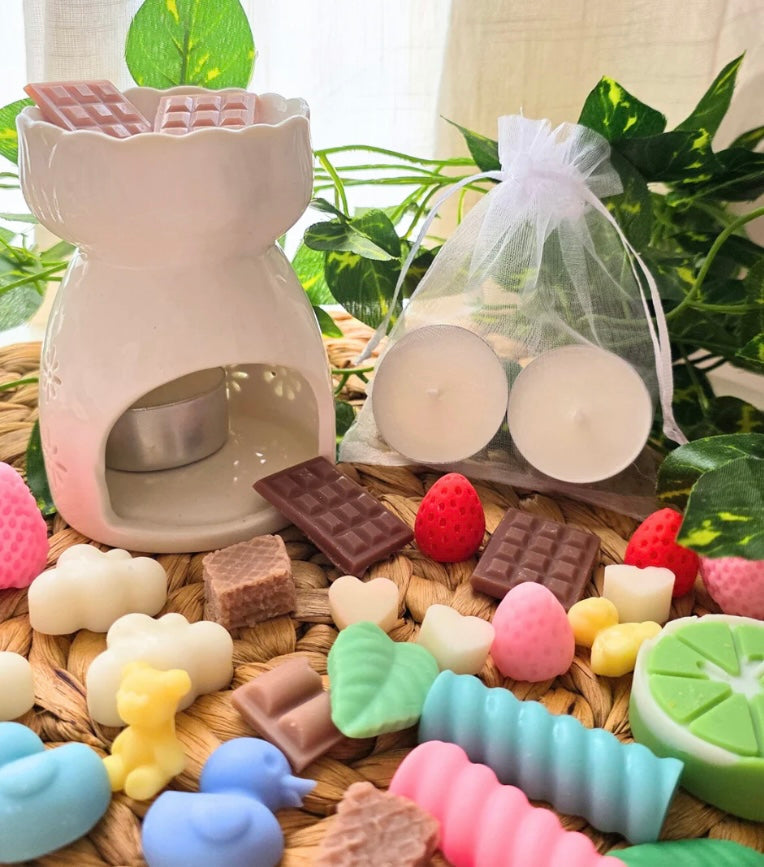 Descubre los Wax Melts ✨