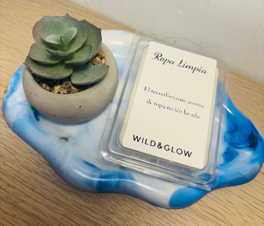Wax Melt Ropa Limpia