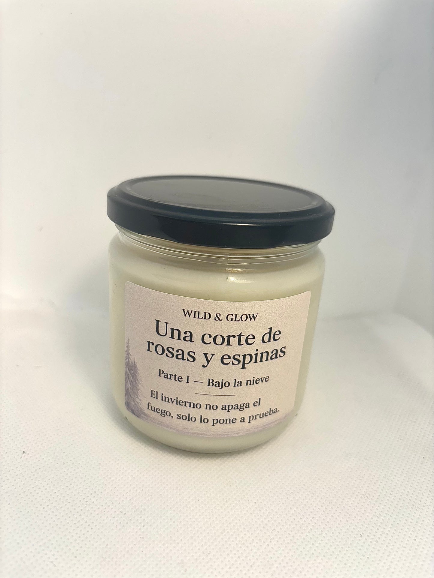 🕯️ Vela Parte I · Bajo la nieve