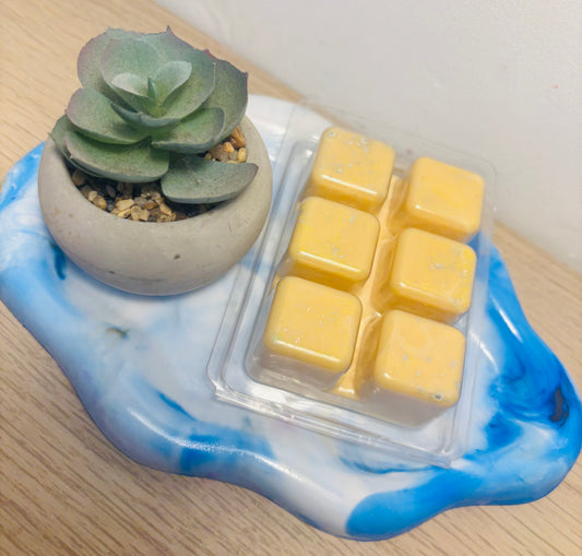 Wax Melt Piña Colada 🍍