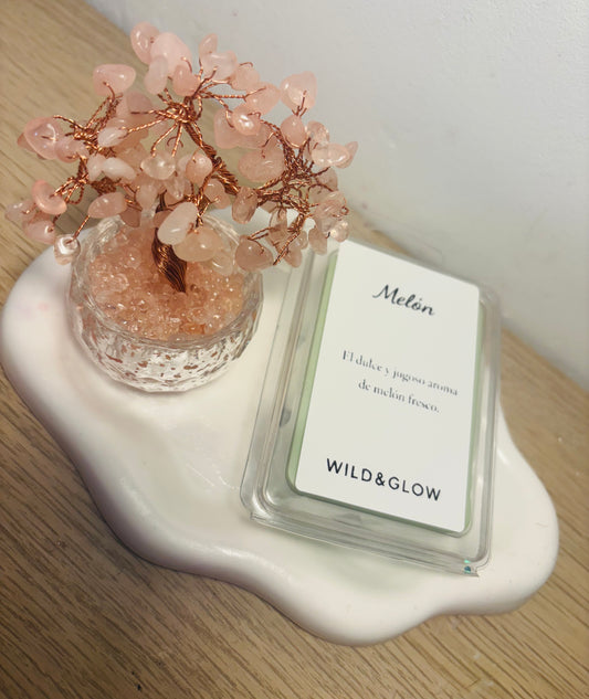 Wax melt Melón 🍈