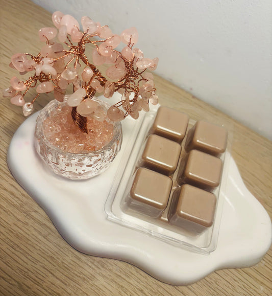 Wax melt Galleta Maria