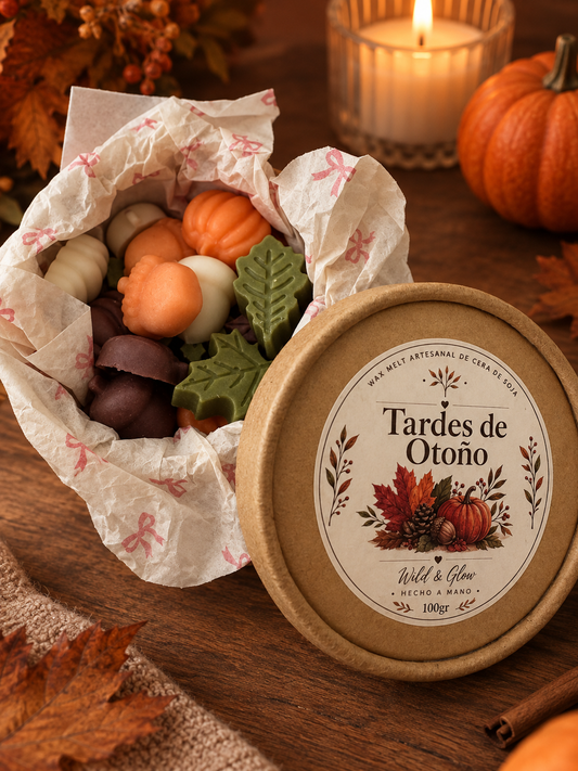 Wax melts Tardes de Otoño 🍂